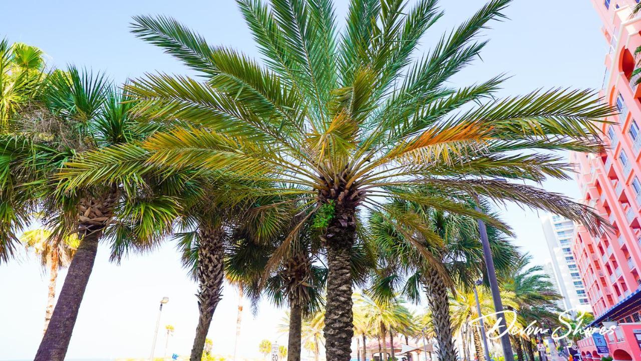 Devon Shores Clearwater Beach Buitenkant foto